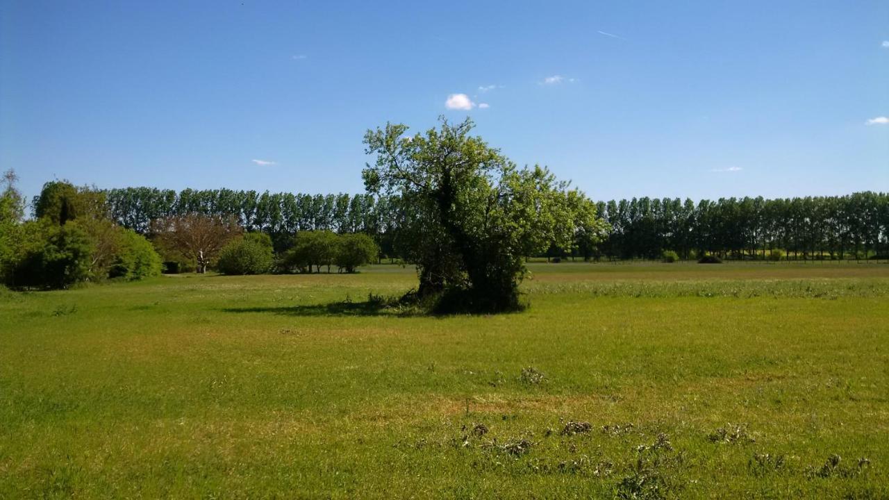Gite Et Chambres D'Hotes Le Chene Billault Pouant ภายนอก รูปภาพ